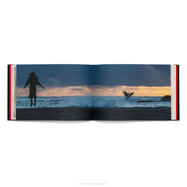 Globe Brand аксесоари PZ2X359 асорти тъмна куха книга